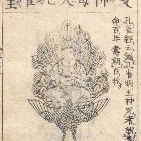 孔雀明王の画像[2]サムネイル