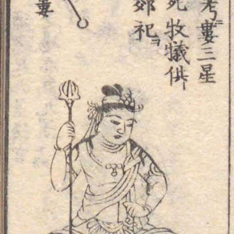 婁宿の画像[1]サムネイル