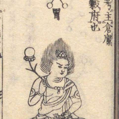 胃宿の画像[3]サムネイル