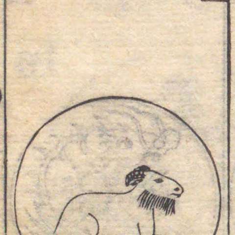 羊宮の画像[1]サムネイル