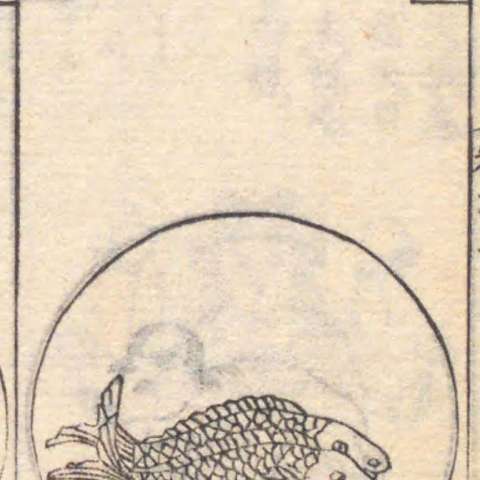 魚宮の画像[1]サムネイル