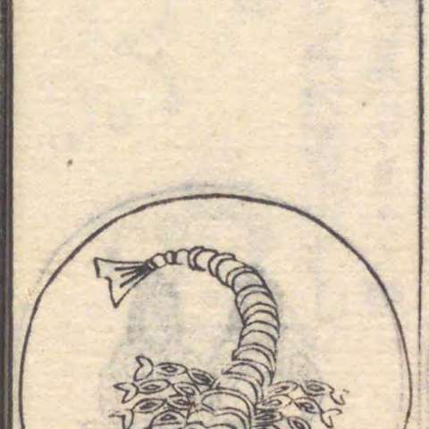 蝎宮の画像[1]サムネイル