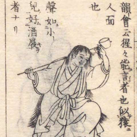 猩猩の画像[5]サムネイル