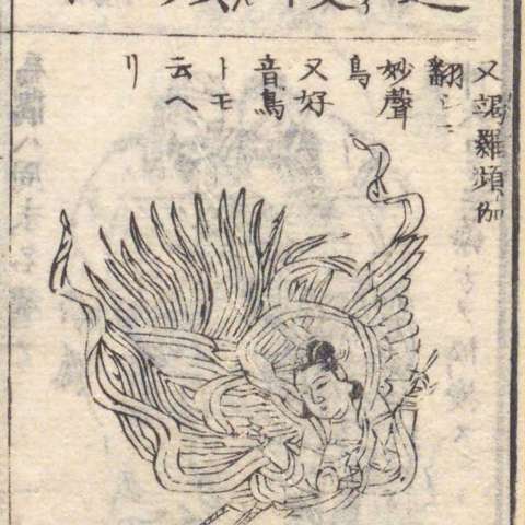 迦陵頻伽の画像[1]サムネイル