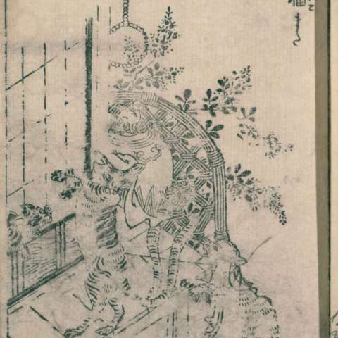 猫又の画像[2]サムネイル