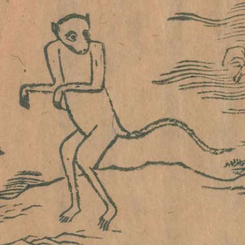 猩猩の画像[3]サムネイル