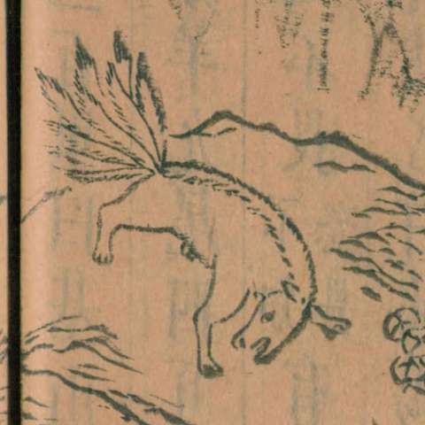 九尾の狐の画像[5]サムネイル