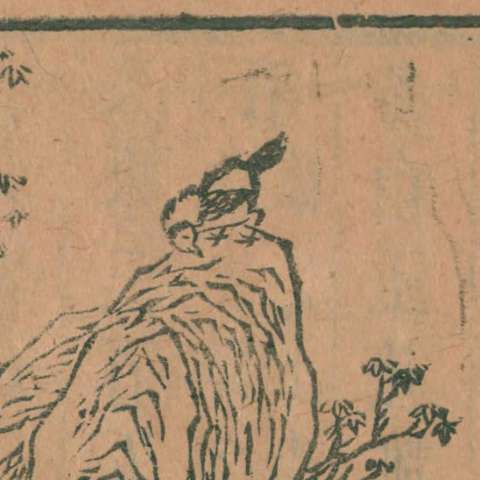 灌灌の画像[1]サムネイル