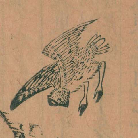 鴸の画像[1]サムネイル