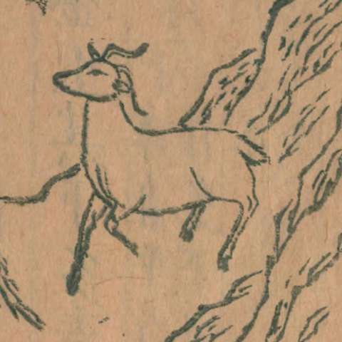 䍺の画像[1]サムネイル