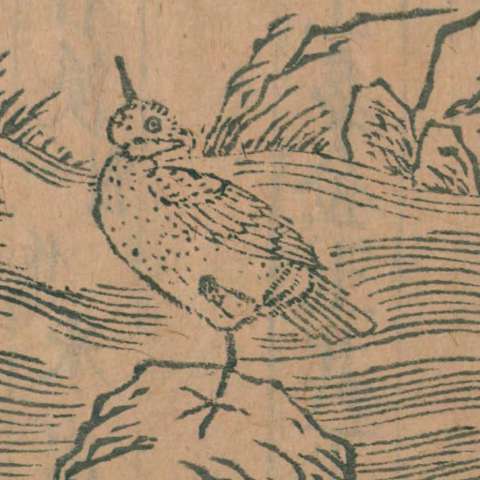 蠱雕の画像[1]サムネイル