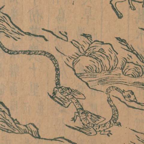 山海經の画像[6]サムネイル