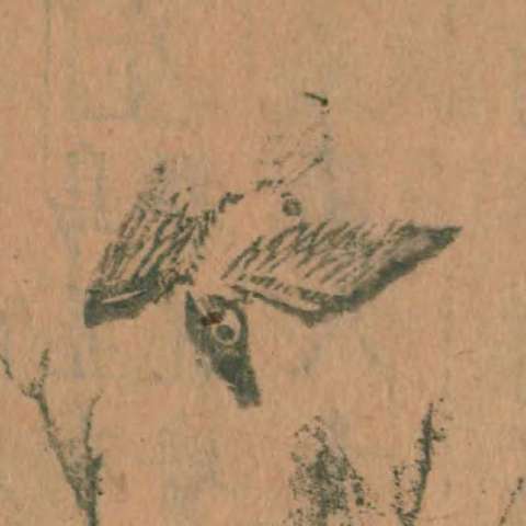 山海經の画像[8]サムネイル