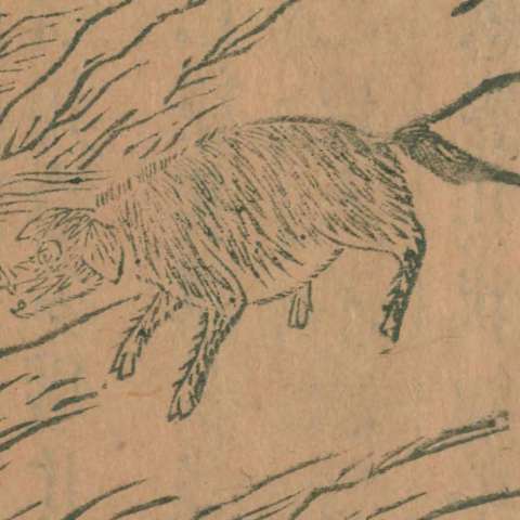 山海經の画像[10]サムネイル