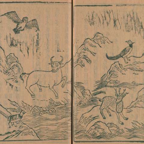 山海經の画像[15]サムネイル