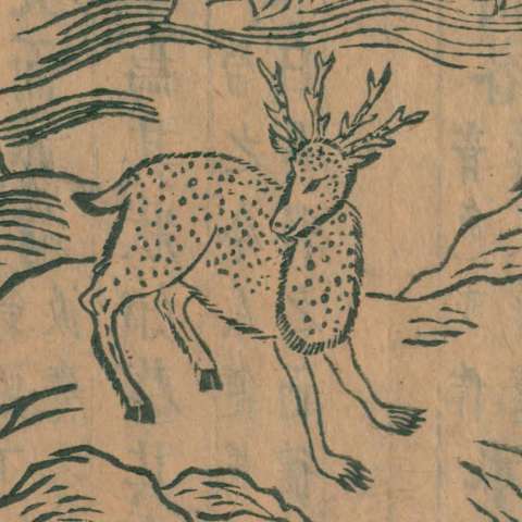 玃如の画像[1]サムネイル