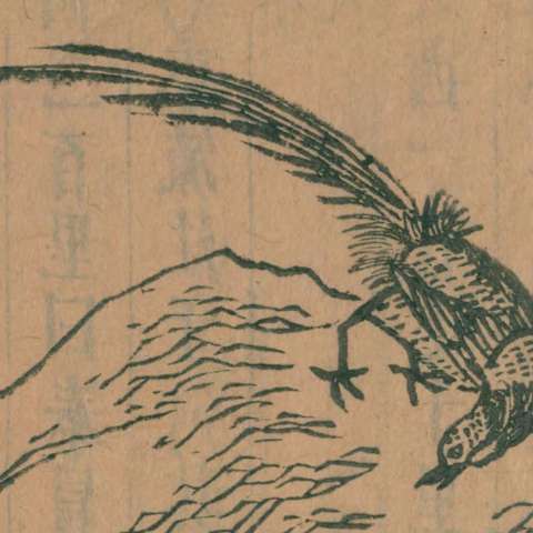 鸞鳥の画像[1]サムネイル