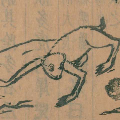 朱厭の画像[1]サムネイル