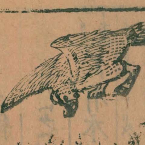 欽䲹の画像[1]サムネイル