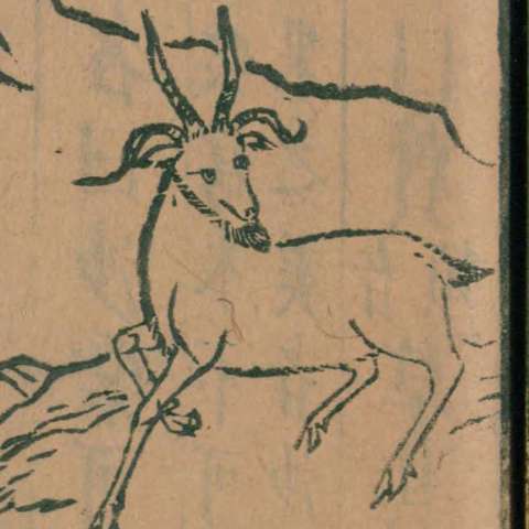 土螻の画像[1]サムネイル