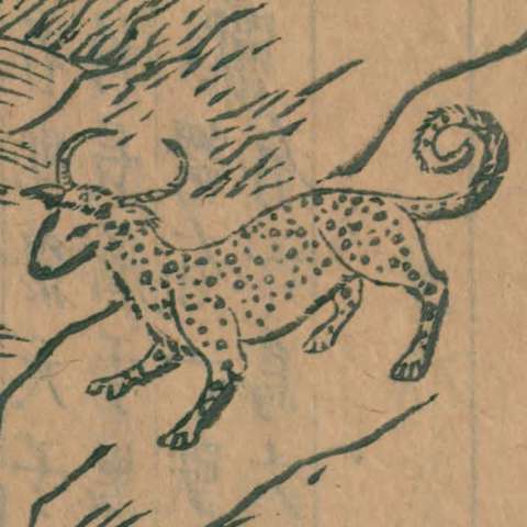 狡の画像[1]サムネイル