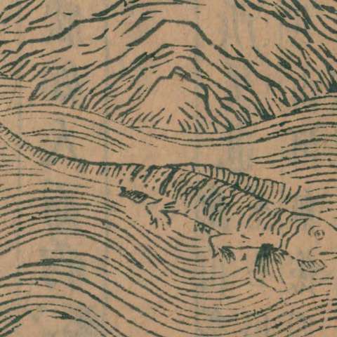 䱻魚の画像[1]サムネイル