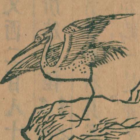 畢方の画像[1]サムネイル