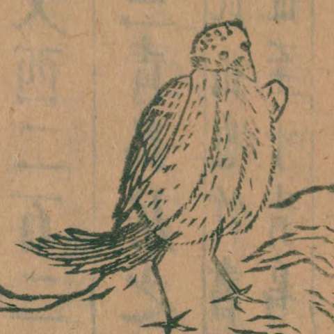 鴟の画像[2]サムネイル