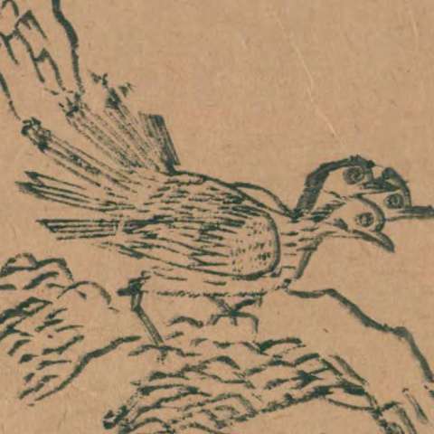 鵸鵌の画像[1]サムネイル