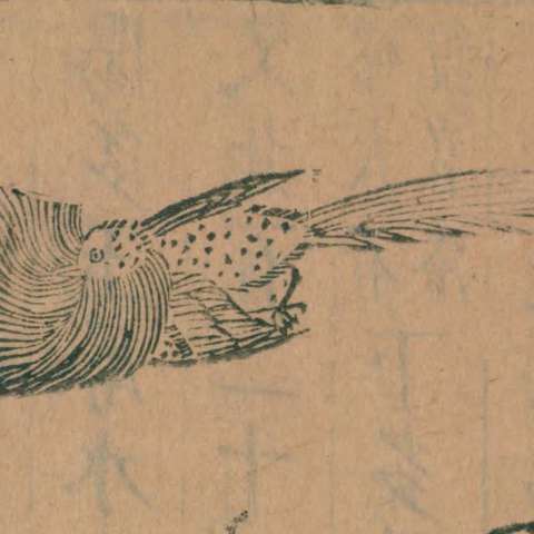 当扈の画像[1]サムネイル