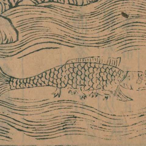 冉遺魚の画像[1]サムネイル