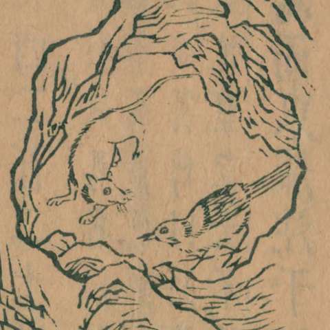 山海經の画像[64]サムネイル