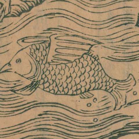 山海經の画像[66]サムネイル