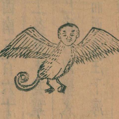 人面鴞の画像[1]サムネイル