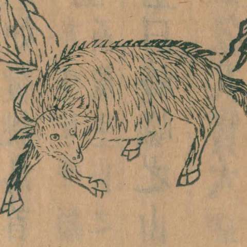 窮奇の画像[1]サムネイル