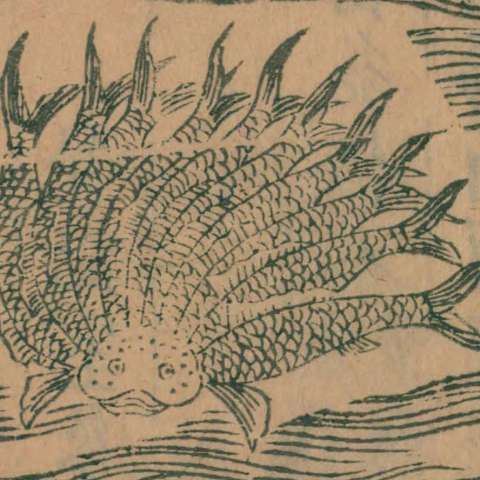 何羅の画像[1]サムネイル