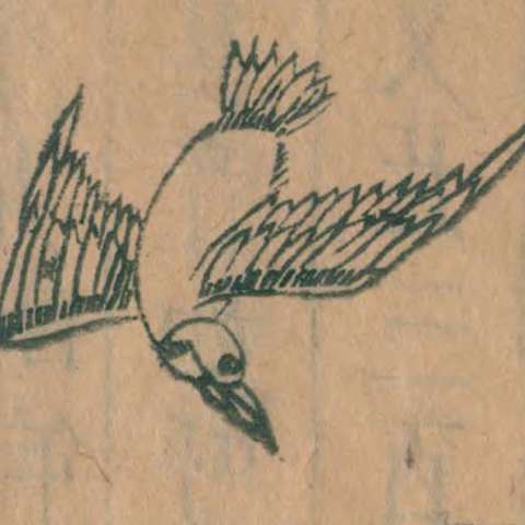 鵸鵌の画像[3]サムネイル