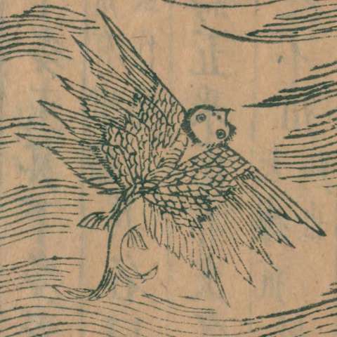 <span lang="zh">&#x9c3c;&#x9c3c;</span>の画像[1]サムネイル