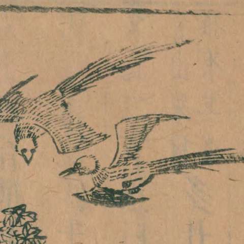 山海經の画像[14]サムネイル