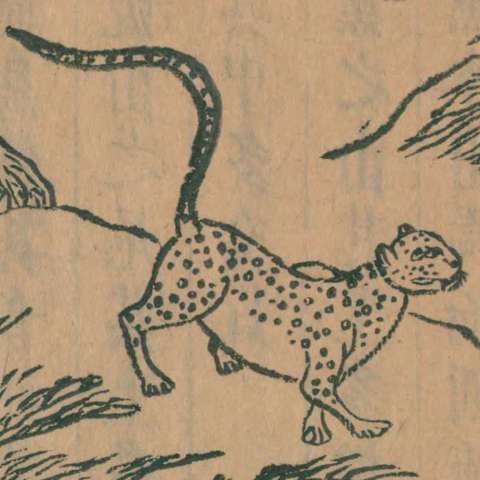 山海經の画像[15]サムネイル