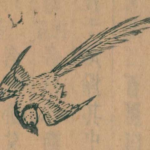 山海經の画像[18]サムネイル