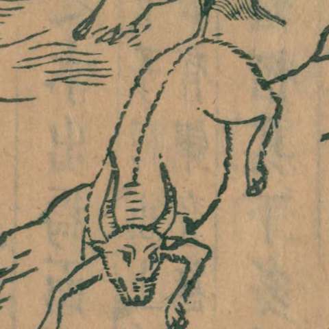 山海經の画像[20]サムネイル