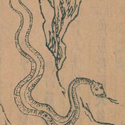 山海經の画像[28]サムネイル