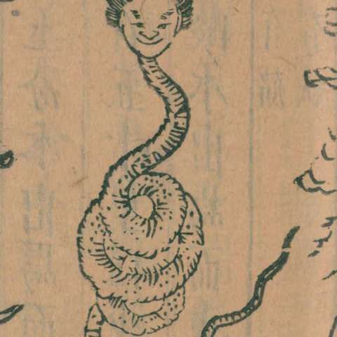 "人面蛇身神"の画像[1]サムネイル