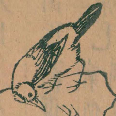 山海經の画像[43]サムネイル