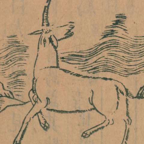 䍶䍶の画像[1]サムネイル