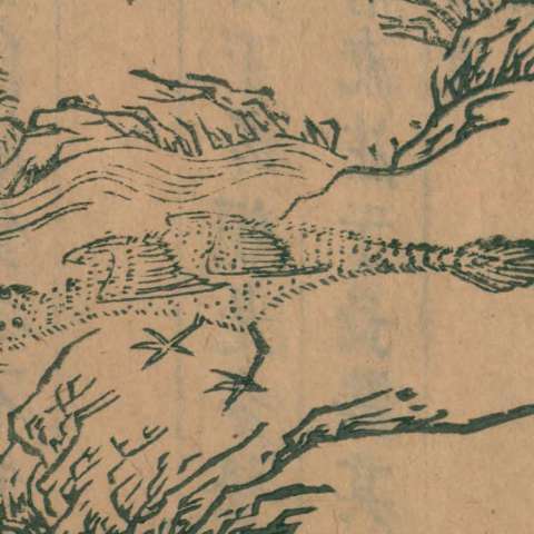 酸与の画像[1]サムネイル