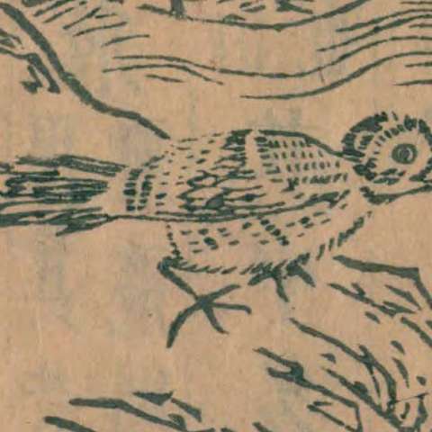 山海經の画像[53]サムネイル