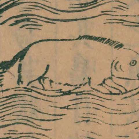 䱤父の画像[1]サムネイル