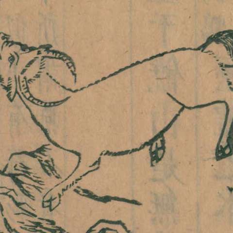 獂の画像[1]サムネイル